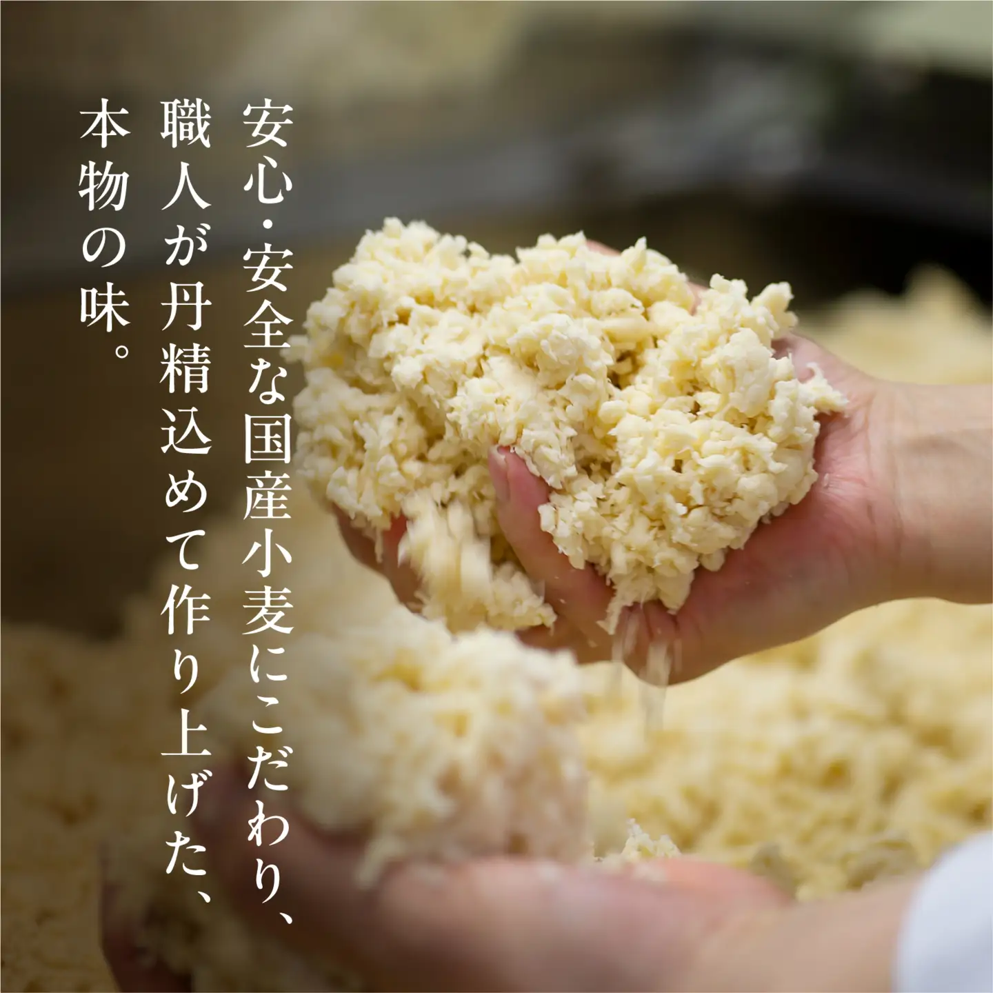雪国の国産小麦そうめん 40袋入り (1袋 200g) 乾麺　030-F-UZ021