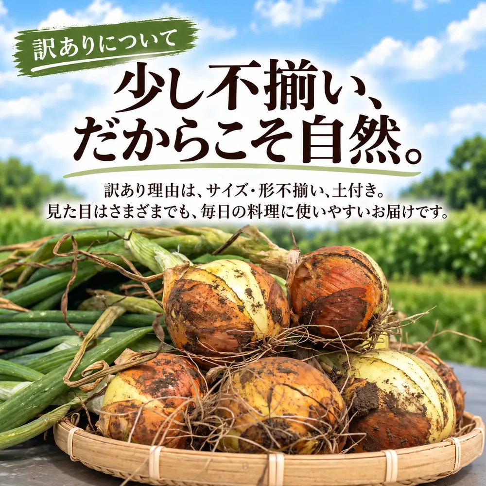 北海道 別海町産 玉ねぎ 10kg セット 農薬・化学肥料不使用 有機肥料 育ち （ ふるさと納税 野菜 訳あり やさい 無農薬 北海道 別海町 ）