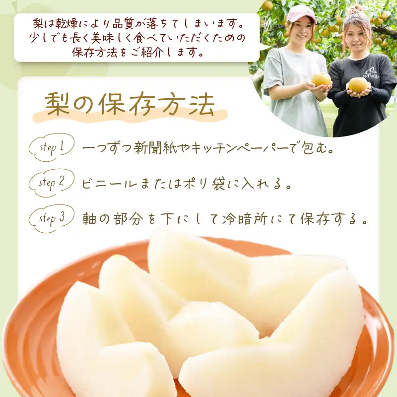 近ちゃん梨 食べ比べセット 合計6kg 【幸水・豊水】 各3kg 定期便2027年8月9月発送 [B-6304]