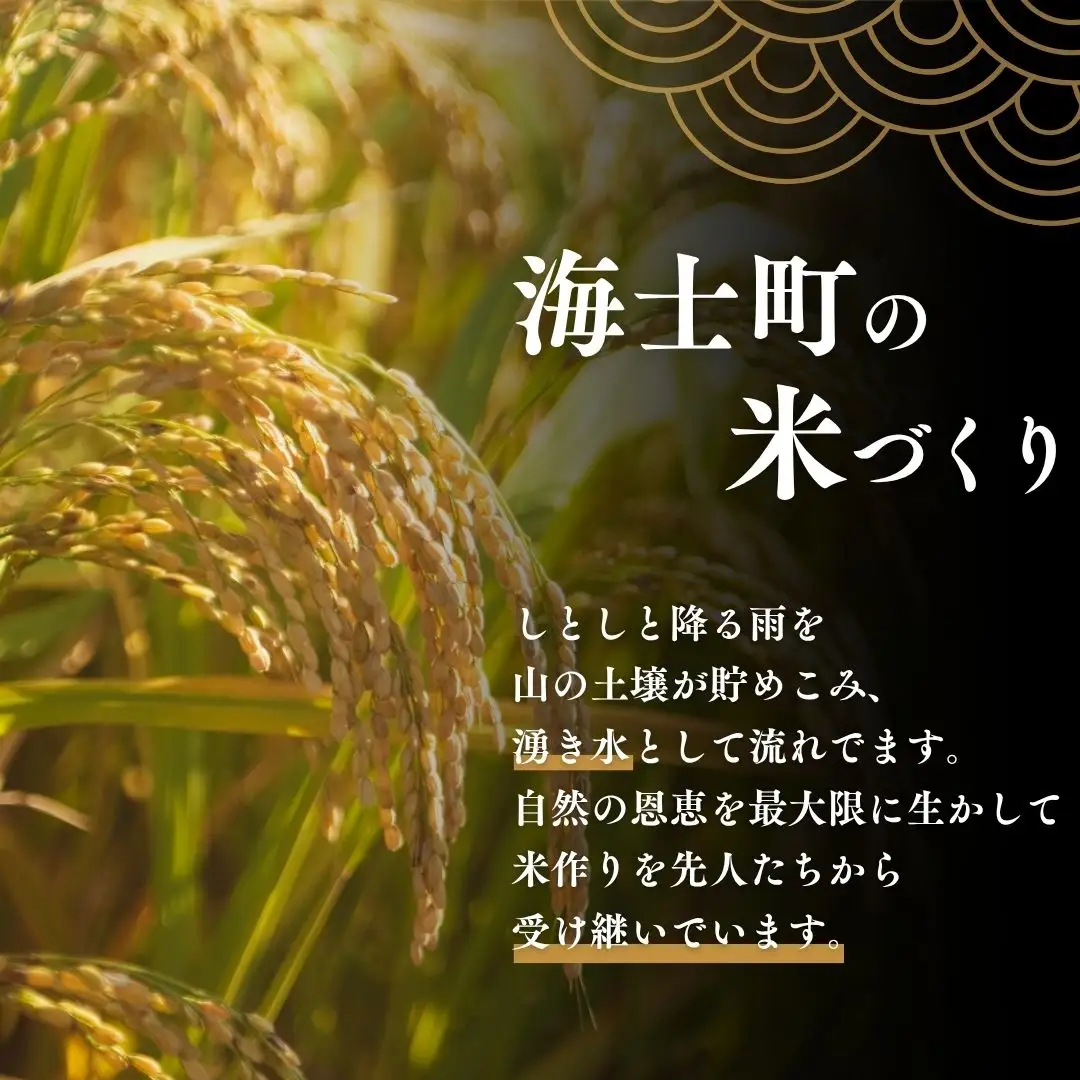 【令和8年産 新米】 お米 コシヒカリ 5kg×3か月定期便 海士町産 