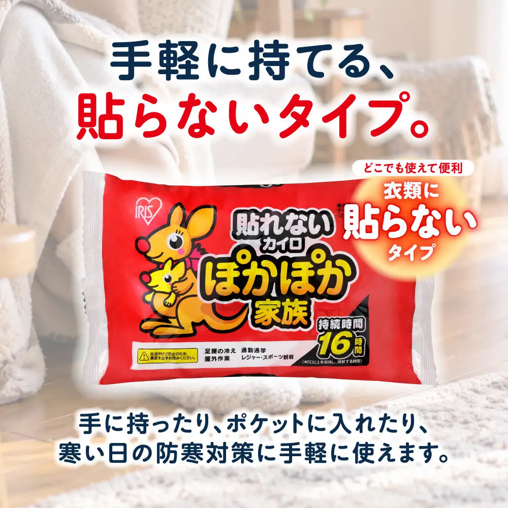 カイロ 240枚 ぽかぽか家族 レギュラー 60枚×4箱 PKN-60R