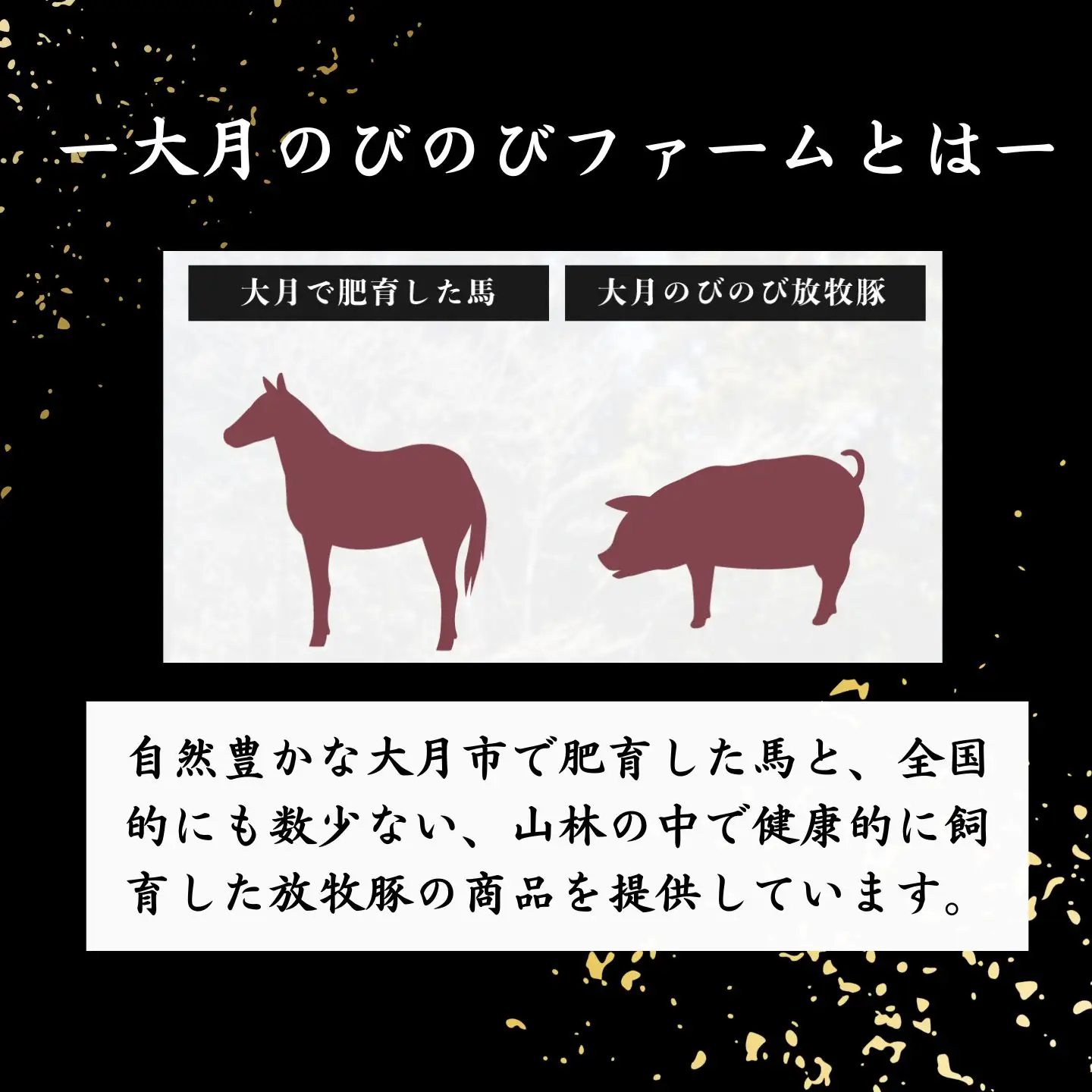 赤身の馬刺し モモ 300g以上