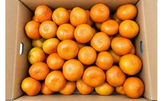 香川県産 普通温州みかん 約10kg　L-S　約80－100個_Z2600562