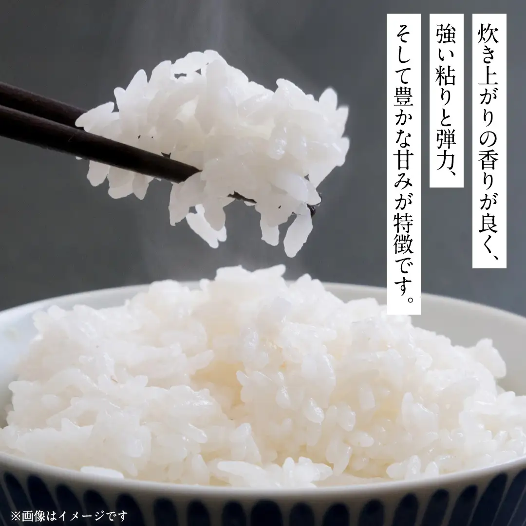 茨城県城里町産 いのちの壱 5kg (2026年産)  米 こめ (AL001)