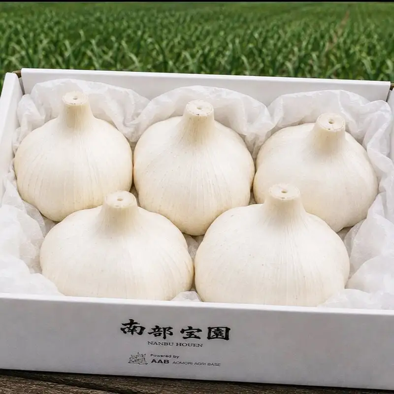 にんにく (ふくちホワイト系統) 700g 【南部宝園】 ニンニク 大蒜 AOMORI AGRI BASE 青森県 南部町 F21U-735