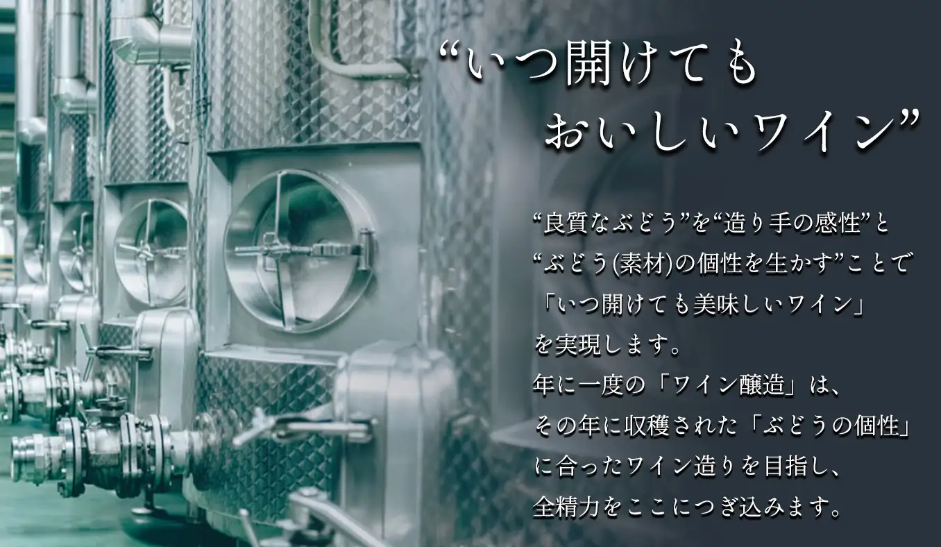 玉名 マスカット ベーリーA ロゼ 2024