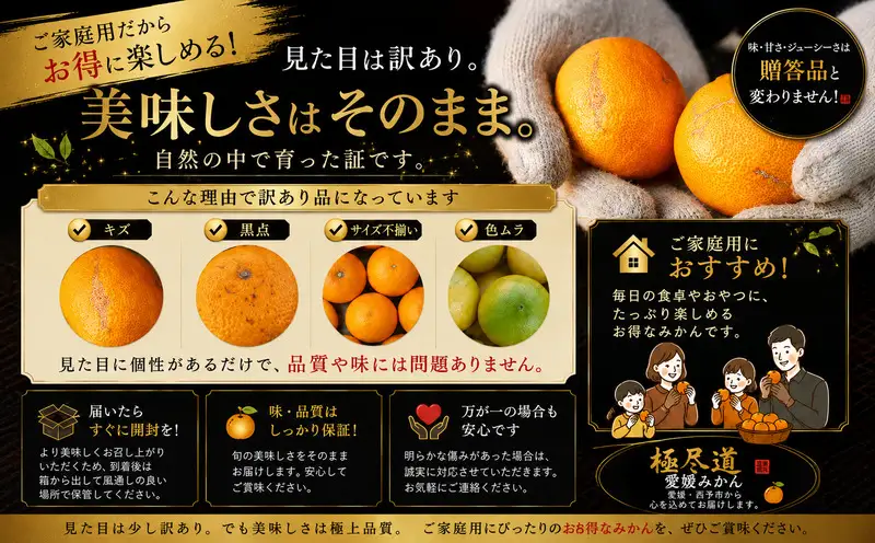 ＜深紅の一果 愛媛県産ブラッドオレンジ 合計約5kg＞『2027年2月中旬～4月上旬迄に順次出荷予定』 訳あり ミカン 蜜柑 ご家庭用 果汁 果物 くだもの フルーツ オレンジ 柑橘 人気柑橘 特産品 極尽道 愛媛県 西予市 【常温】OKS0022