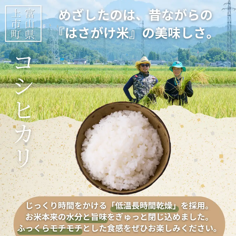 【食味検査Sランク】令和8年産 栽培期間中農薬不使用 上市町湯神子産コシヒカリ（白米）10kg 新米 10キロ こしひかり 白米 精米 おにぎり お弁当 農薬不使用 有機肥料 富山県産 富山県 上市町 湯神子 剱岳 雪解け水 富山米 国産 まとめ買い 大容量 家族 毎日 低温乾燥 樋口農園 ソムリエH ごはんソムリエ 環境にやさしい 贈り物 ギフト 産地直送 ごはん 米 お米 こめ おこめ コメ
