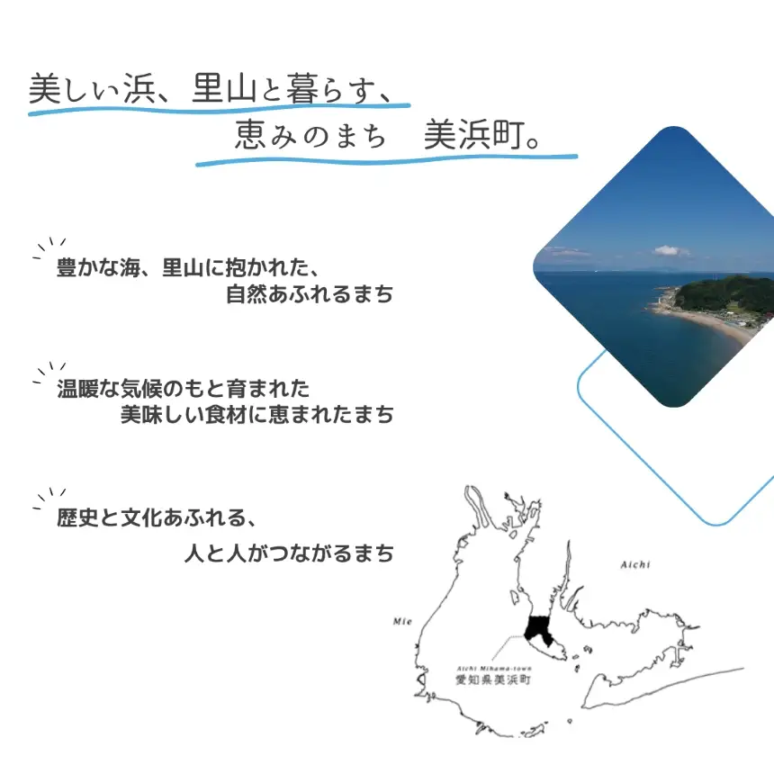 【 新米 令和8年産 】【定期便12回】愛知県産 あいちのこころ 10kg｜米