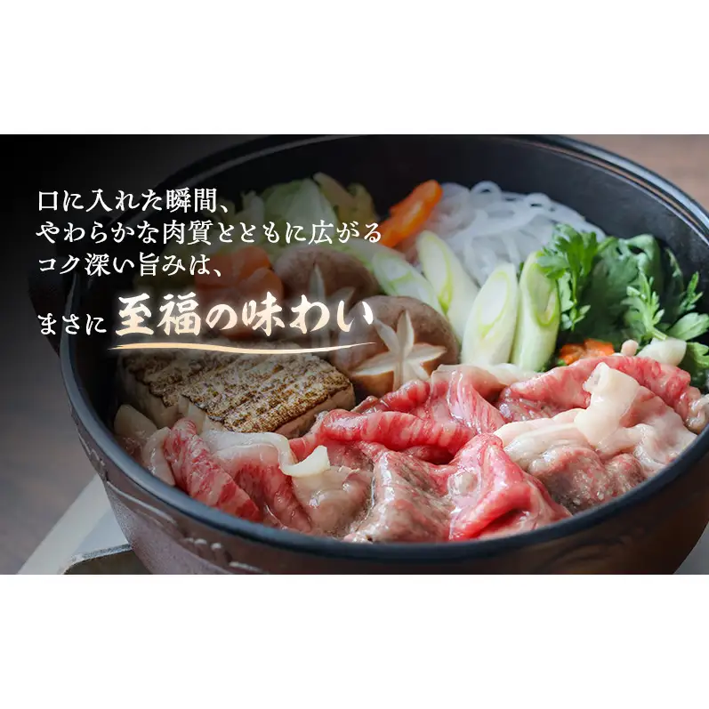 【特選和牛】静岡そだち すき焼用（ロース） 約500g 牛肉 和牛 黒毛和牛 静岡そだち 国産肉 すき焼き 静岡 浜松市【配送不可：離島】