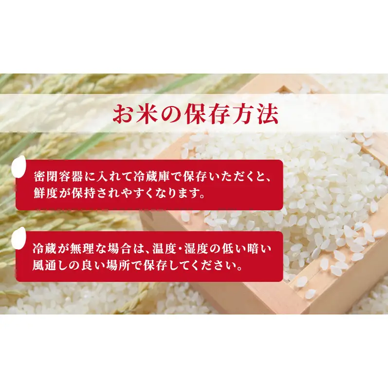 定期便 3回配送 令和8年産 新潟県上越市産 特別栽培米 コシヒカリ 5kg（5kg×3ヶ月）ご飯 おにぎり