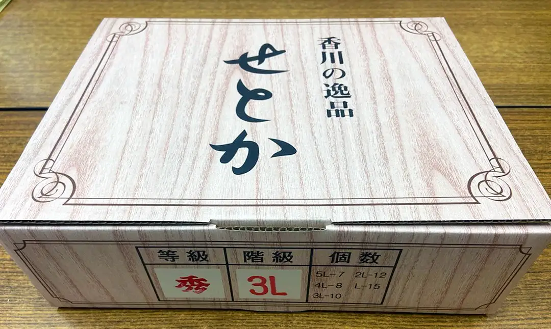 香川県産 せとか 約3kg化粧箱　7-15玉入_Z2600588