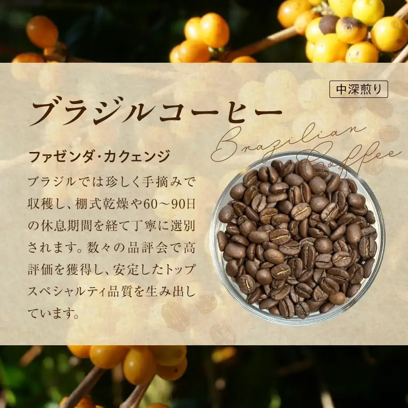 風味際立つ 手鍋焙煎コーヒー豆 ～南米編～ （粉） 100g×2袋 _SC0608