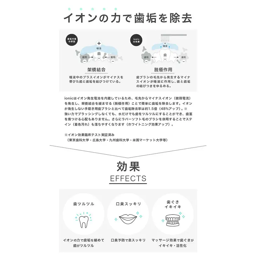 薄型極細コンパクト替えブラシセット 12本 アイオニック