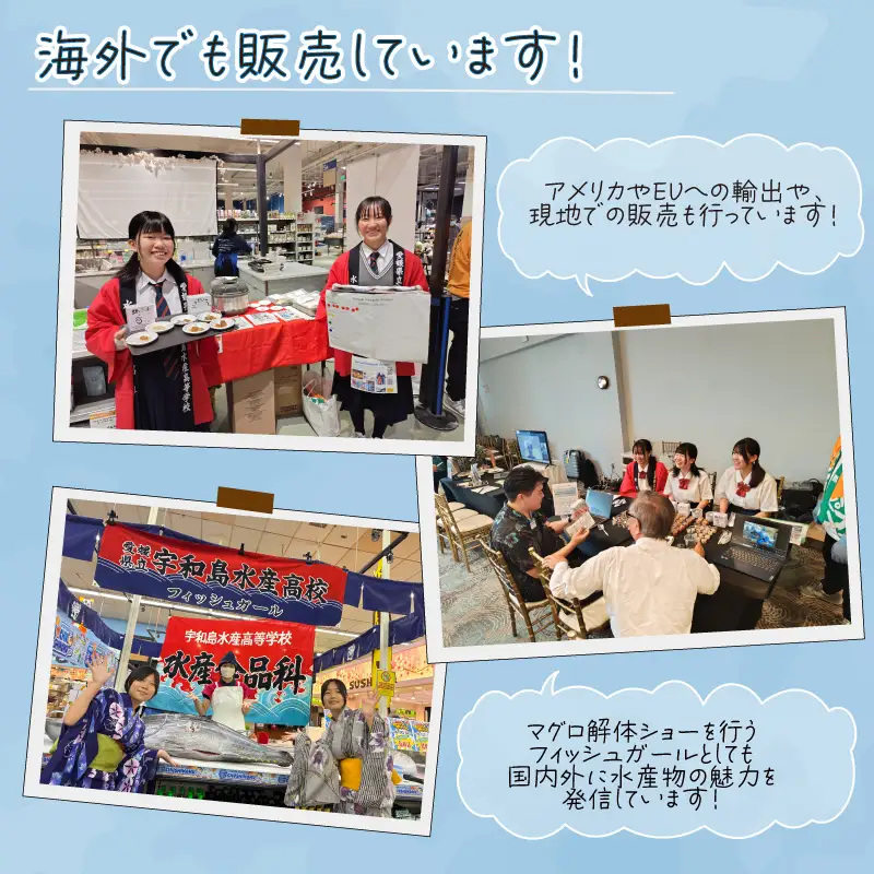 ＼生徒が開発 学校で製造しました／　水高缶詰 4種 7缶 セット 宇和島水産高等学校 缶詰め D011-213001