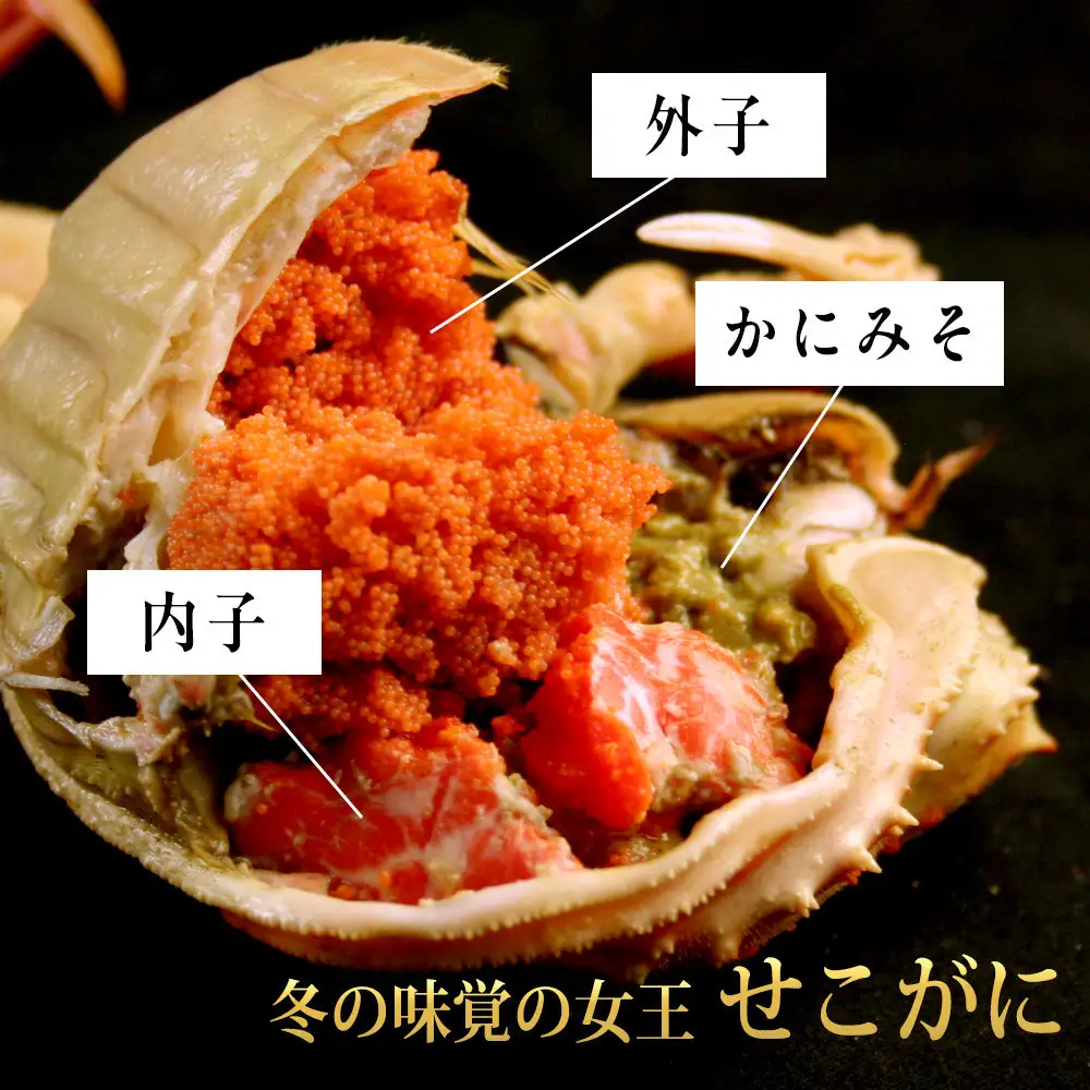 【11月中旬以降発送】訳あり 生せいこ蟹×10枚（1.5kg前後）【鳥取県 境港市】