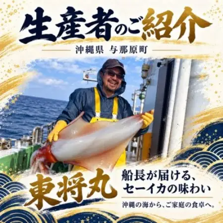 船長の漬干しセーイカ100g×1箱＆お刺身用セーイカ600g(300g×2柵)【配送不可地域：離島】【1789252】