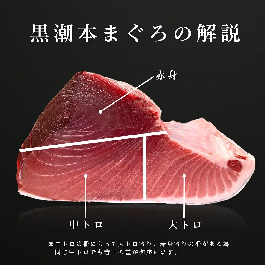 【刺身セット】訳あり 不定貫 本マグロ 刺身セット 赤身 中トロ 大トロ 3種 450g 年末発送