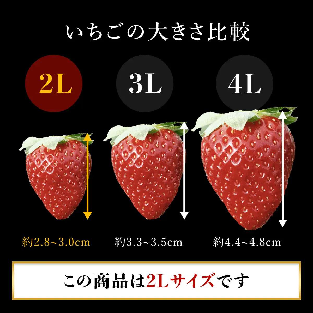 【先行予約】【2026年12月中旬より順次発送】希少品種 黒いちご 真紅の美鈴 2L36粒入り SMAN001