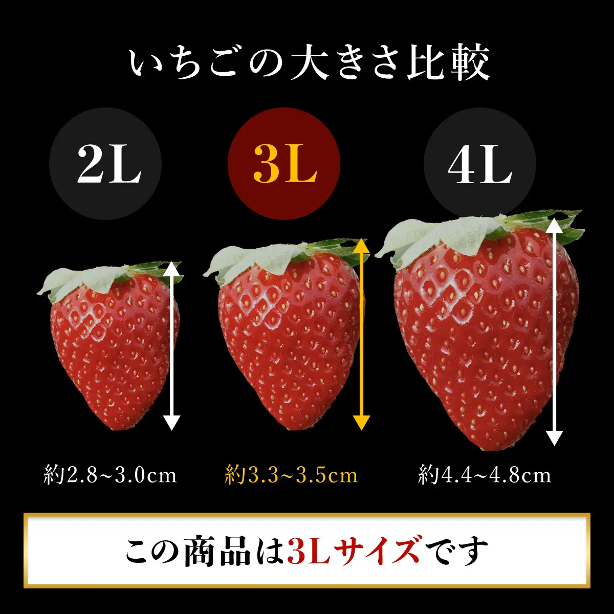 【先行予約】【2026年12月中旬より順次発送】希少品種 黒いちご 真紅の美鈴 3L30粒入り SMAN002