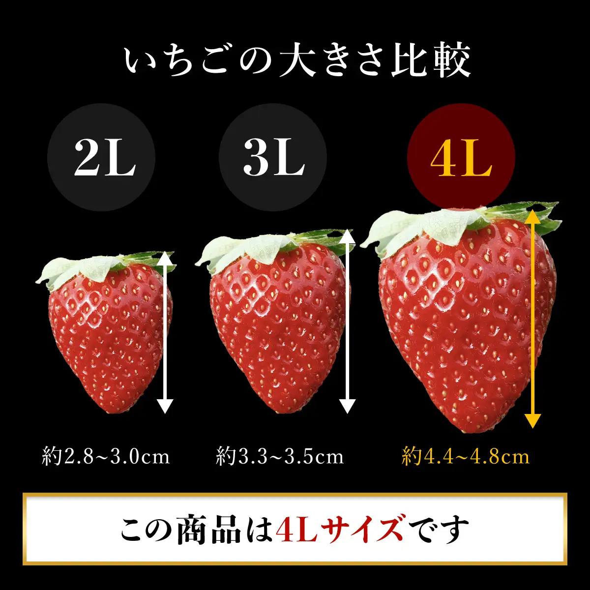【先行予約】【2026年12月中旬より順次発送】希少品種 黒いちご 真紅の美鈴 4L24粒入り SMAN003