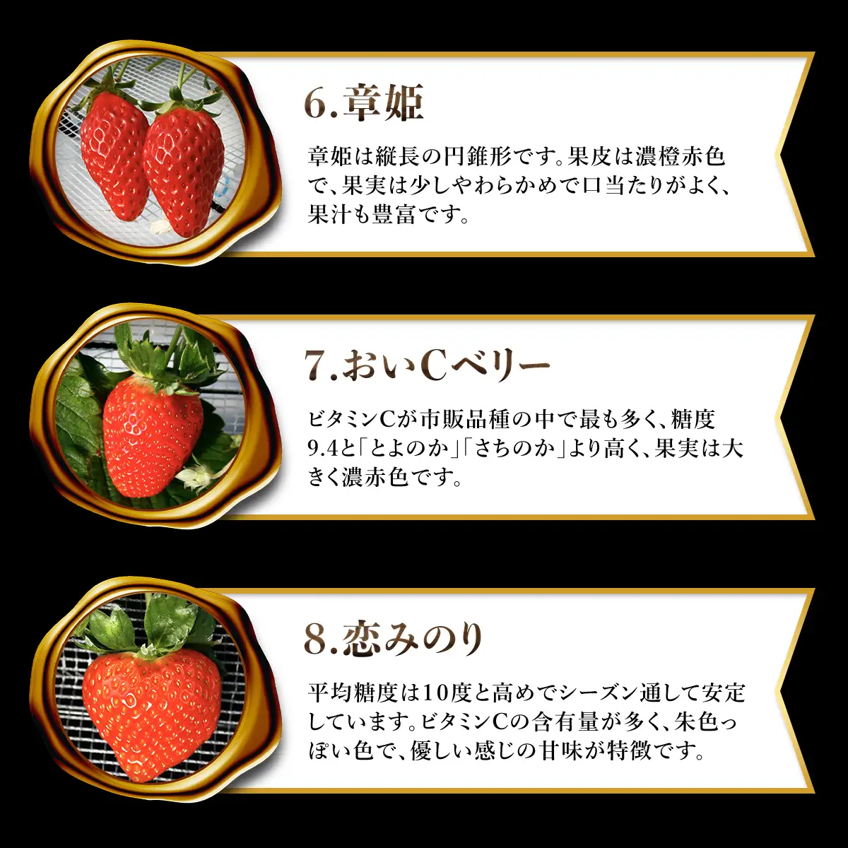 【先行予約】【2027年1月中旬より順次発送】いちご食べ比べセット（最大10品種の食べ比べ） SMAN004