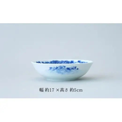 有田焼 山水絵 浅平鉢【起山窯】食器 器 うつわ 鉢 17センチ 手描き 染付 山水絵 ギフト プレゼント co020