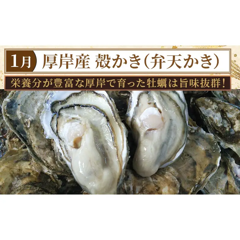 厚岸旬のふるさとセット 年6回お届け (牡蠣、毛蟹、生時しらず、しまえび、あさり、さんま、ほっき 等)