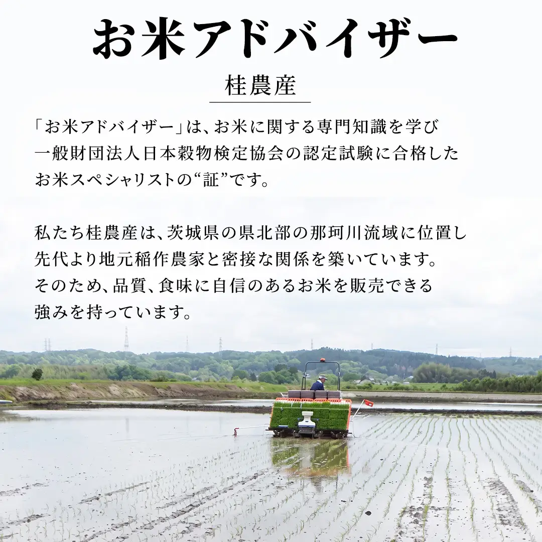 12ヵ月定期便【無洗米】コシヒカリ ホタル米 5kg × 12回 令和8年産 [AX090]