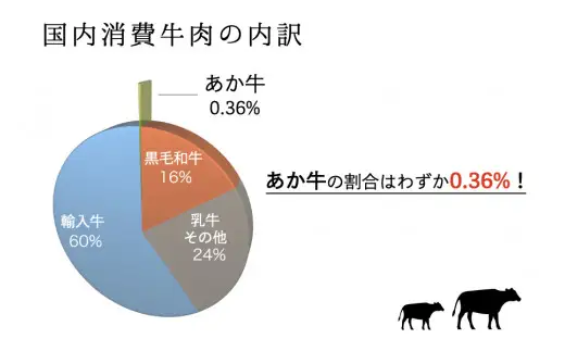 〈令和9年1月出荷〉GＩ認証 くまもとあか牛 すきやき 500g [B25-5103-01]
