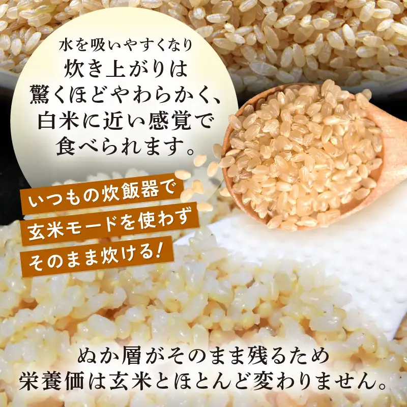 【令和8年産】特別栽培米 いちほまれ うまみ玄米 5kg 化学肥料不使用 ＜温度と湿度を常時管理し新鮮米を出荷！＞／ 高品質 鮮度抜群 福井県あわら産 ブランド米 お米 [aw071-b011]