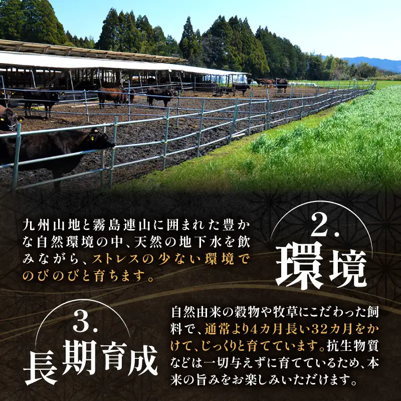 宮崎牛 厚切りロースステーキ 600g