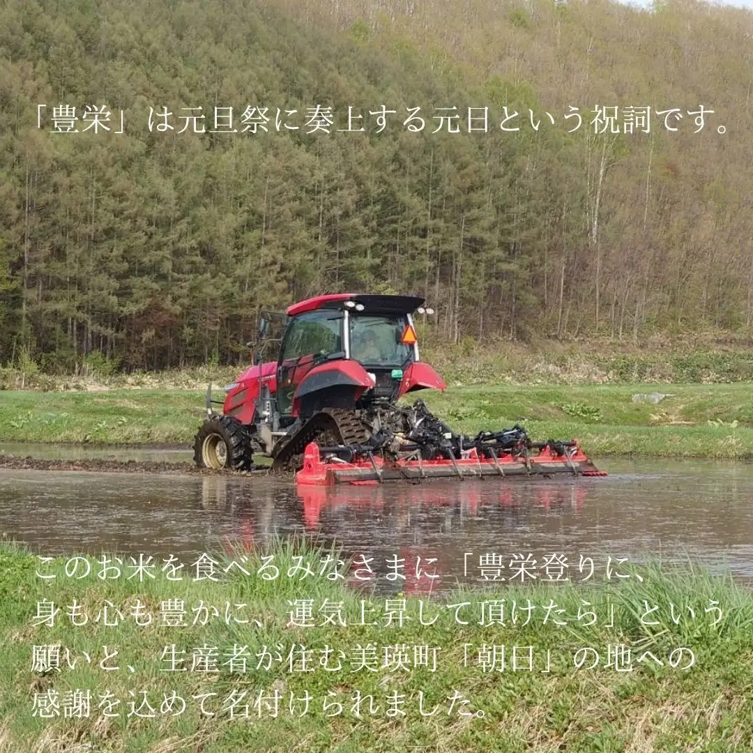 【3回定期便】 ゆめぴりか 5kg 定期便 豊栄米 北海道 精米 ゆめぴりか【令和8年産】