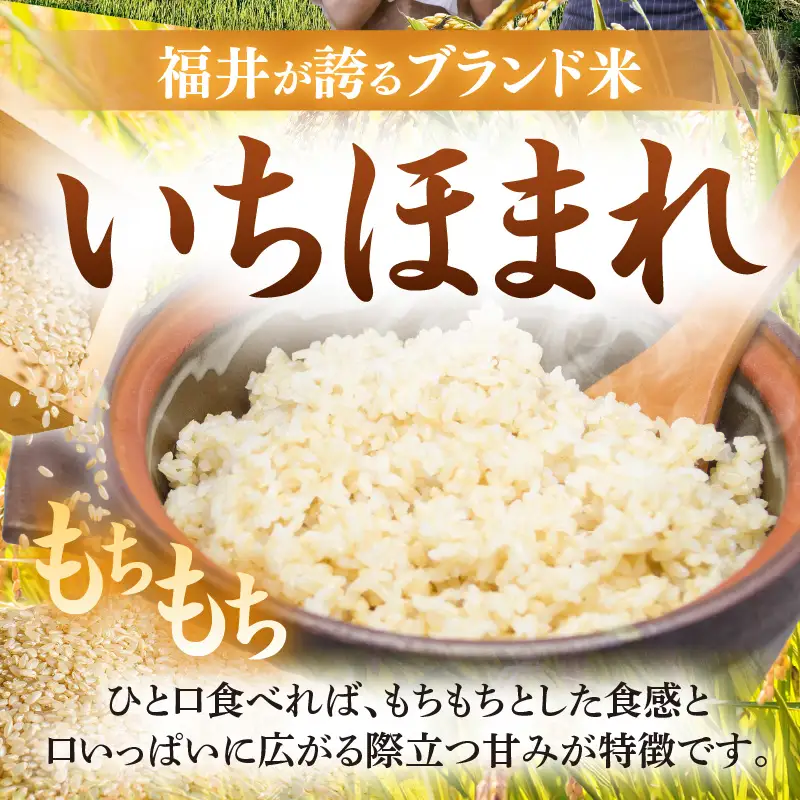 【令和8年産】特別栽培米 いちほまれ 玄米 5kg 化学肥料不使用 ＜温度と湿度を常時管理し新鮮米を出荷！＞／ 高品質 鮮度抜群 福井県あわら産 ブランド米 お米 [aw071-a017]