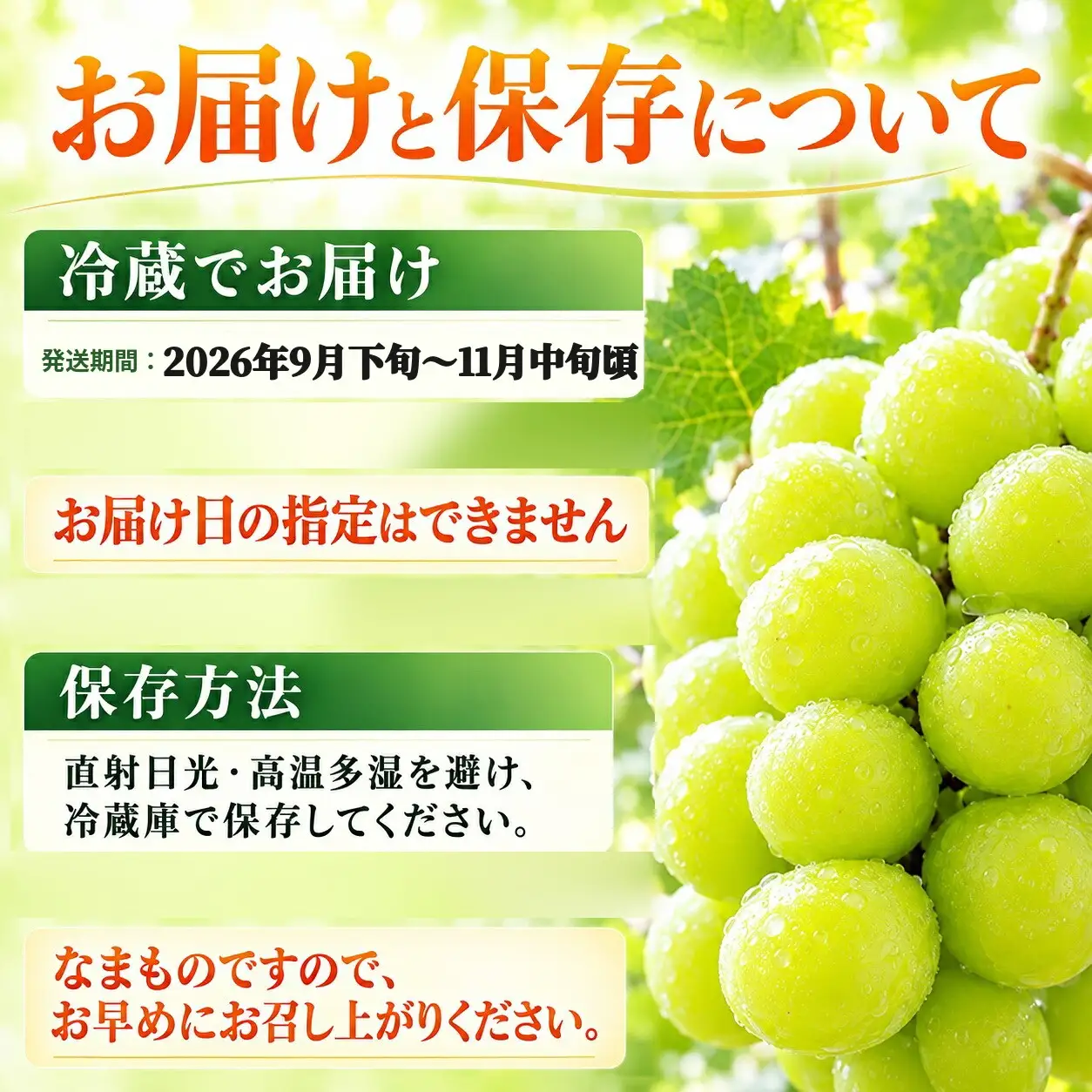 【2026年産】信州塩尻産 カネシチ農園 大粒シャインマスカット 約1.4kg（2房）