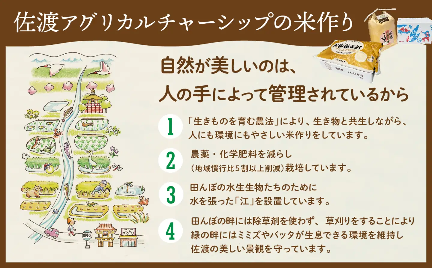 【定期便 3回 】コシヒカリ 精米 2kg 計6キロ | 新潟県 佐渡市 コシヒカリ