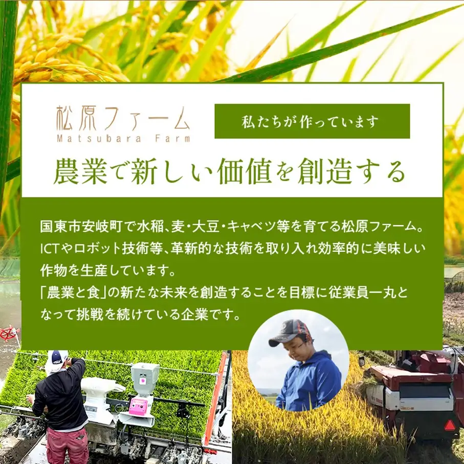 【令和8年産】【3回定期便】国東市産 にじのきらめき 5kg×3回_2849R-1
