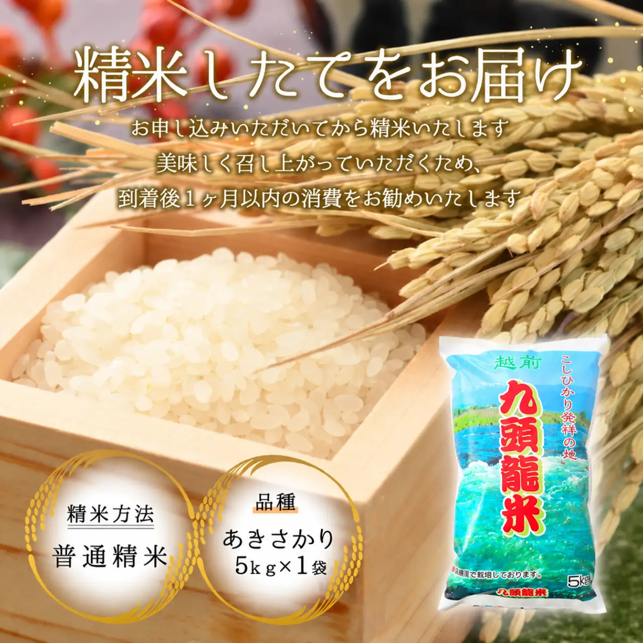 米 越前九頭龍舞 精米 5kg 令和8年産 米