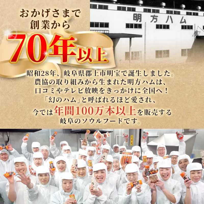 明方ハム 詰め合わせ Aセット 国産 豚 豚肉 ハム  プレスハム ソーセージ フランク ギフト JAめぐみの