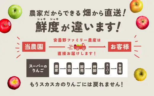 おまかせ旬のりんご　☆期間限定☆
