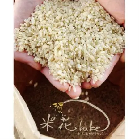 玄米パン　おすすめ4種セット(ハード系、総菜系、菓子パン系)グルテンフリー　ヴィーガン　生米製法【配送不可地域：離島】【1789292】