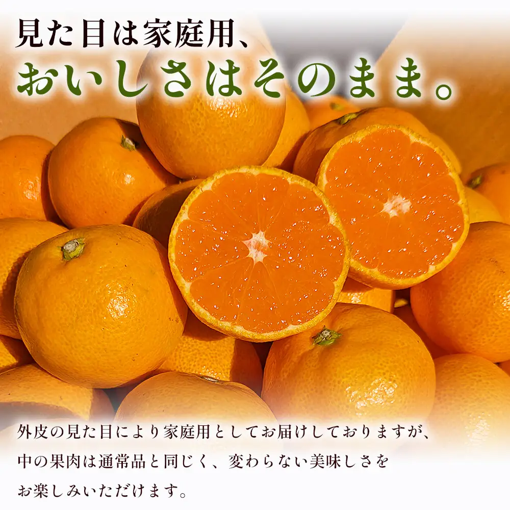 山北みかん（露地） 5.0kg 家庭用 sq-0003