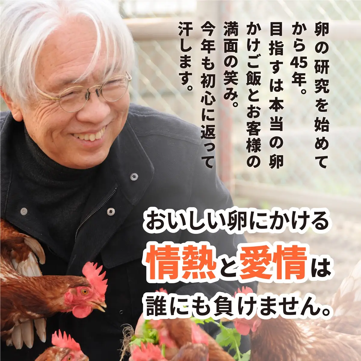 こだわり卵10個・青梅ロール1本・生カステラ1ホール セット たまご倶楽部