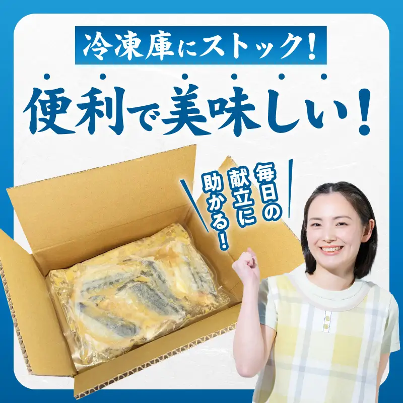 【先行予約】サバの味噌煮 10食 合計800g