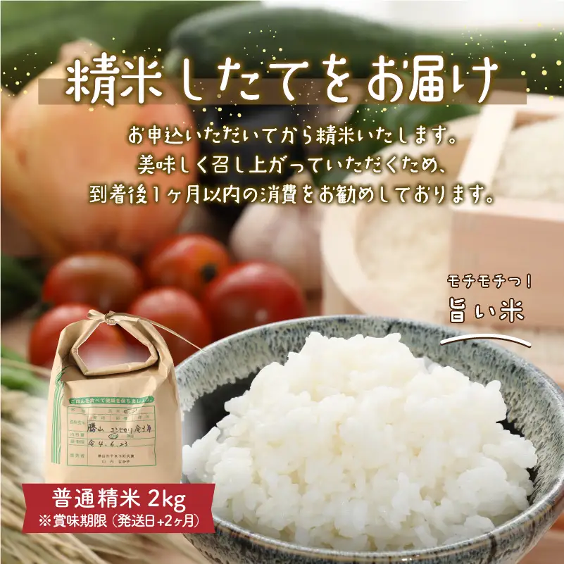 コシヒカリ 2kg 季節の野菜 5～10種類 セット コシヒカリ