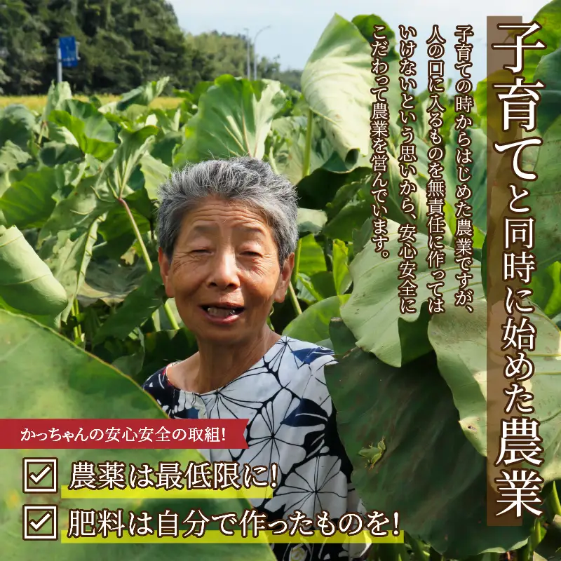 コシヒカリ 4kg 青大豆味噌 1袋 里芋 3kg セット コシヒカリ