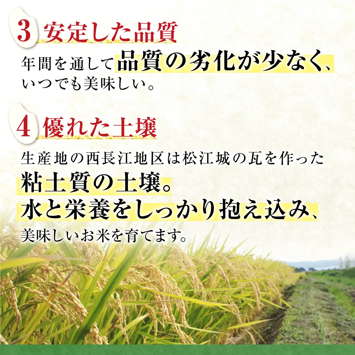 令和8年産 新米 きぬむすめ 10kg 6回定期便 新米[ALCG001-R86]
