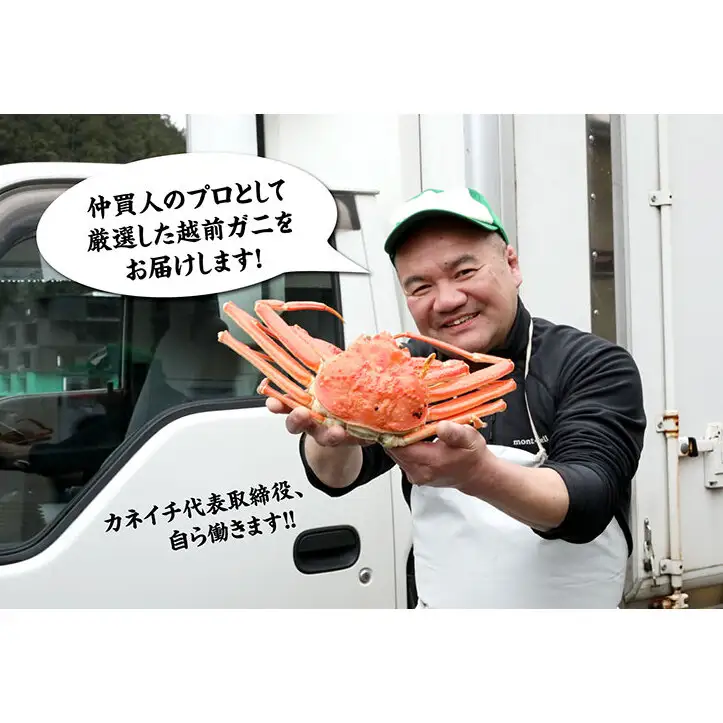 【12月出荷】越前ガニ 訳あり 1本足折れ 400g～600g