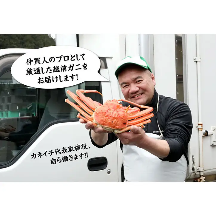 【2月出荷】越前ガニ 1.3kg～1.4kg 1杯 【特大サイズ】