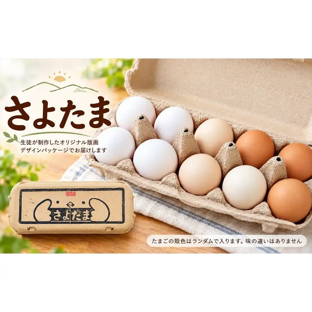 【卵フェス2025全国3位】佐用高校ブランド卵「さよたま」新鮮たまご (計60個・10個入り×6パック) 兵庫県佐用町産 鶏卵 卵かけご飯 さよたま